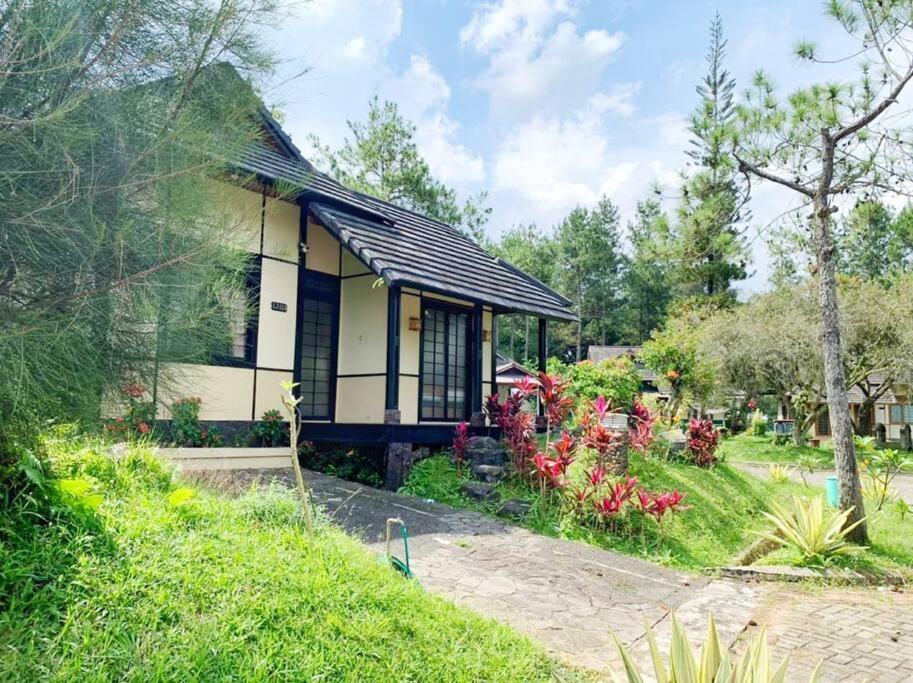 Designer Villa Tokyo Cianjur Ngoại thất bức ảnh