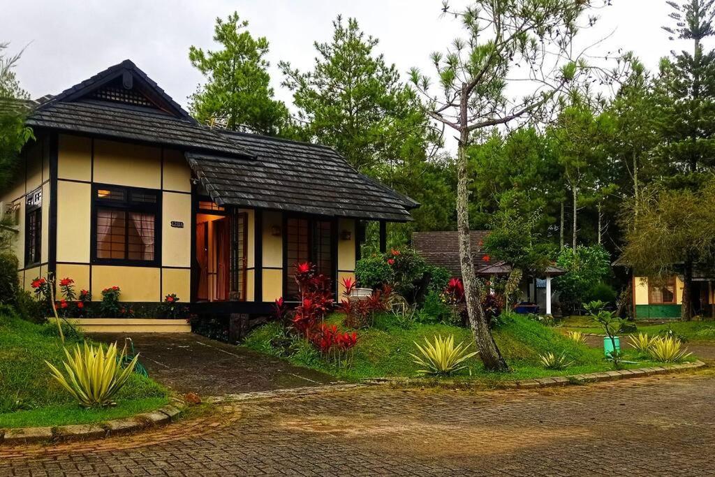 Designer Villa Tokyo Cianjur Ngoại thất bức ảnh